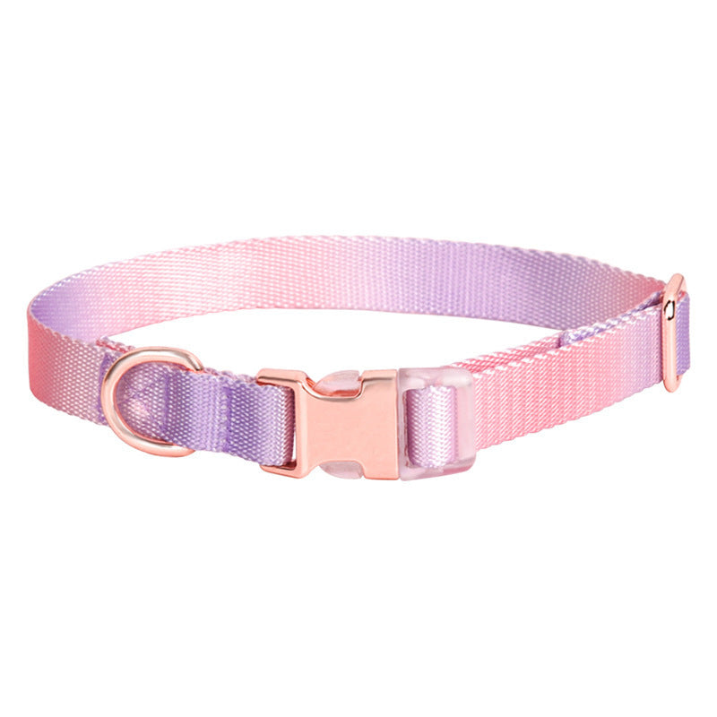 Collier en nylon réglable pour chien et chat, petit collier pour chien, dégradé, accessoire tendance pour petits, moyens et grands chiens