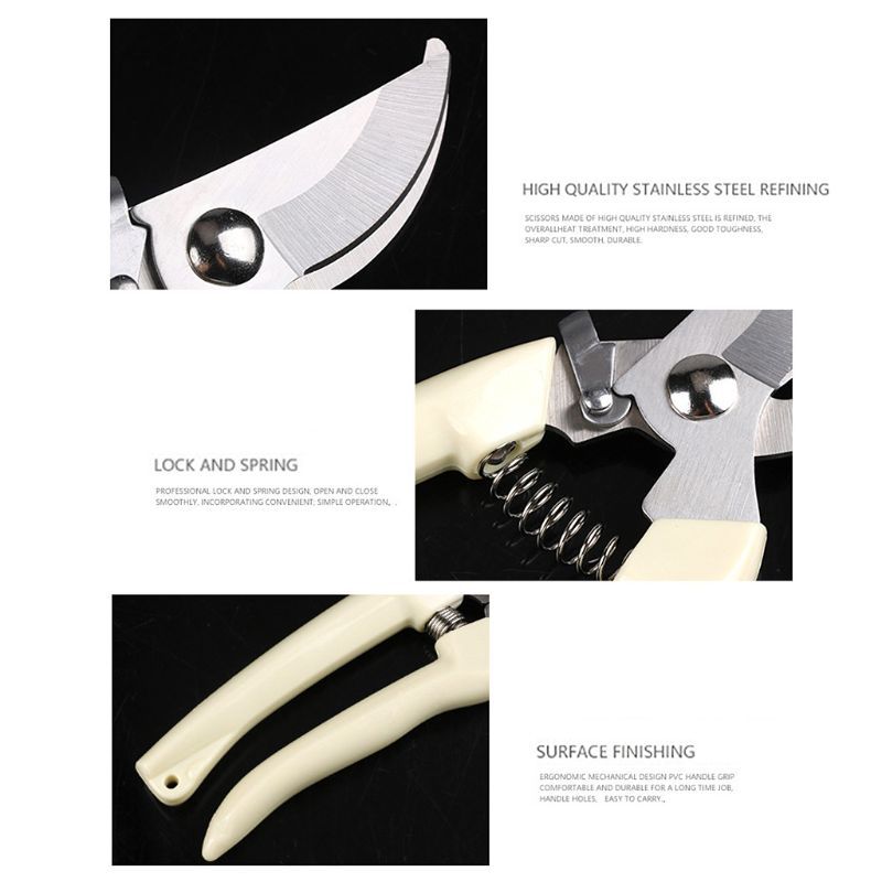 Pruning Shears