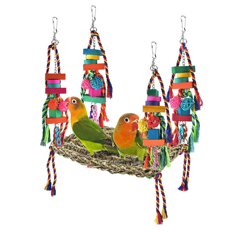 Parrot Toys