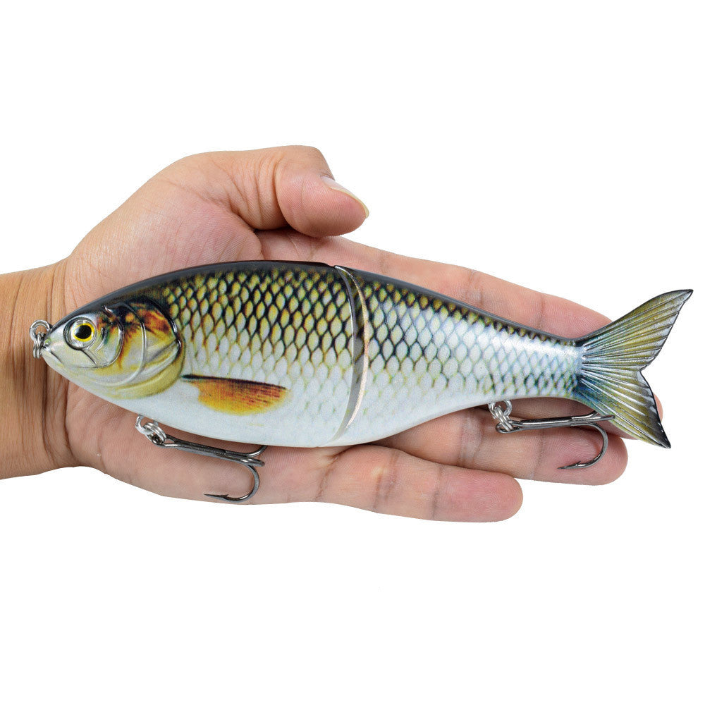 Fishing Baits & Lures