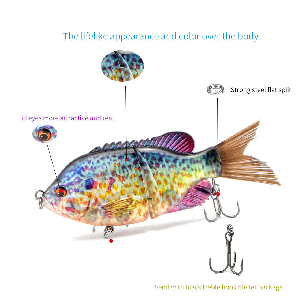 Fishing Baits & Lures