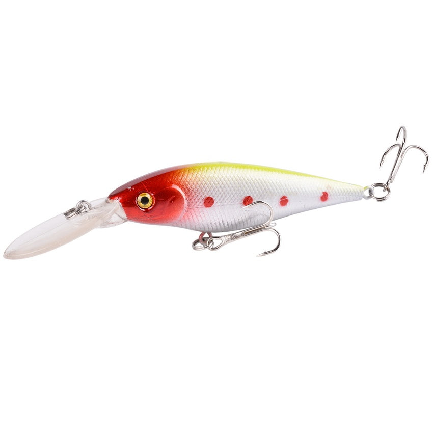 Fishing Baits & Lures