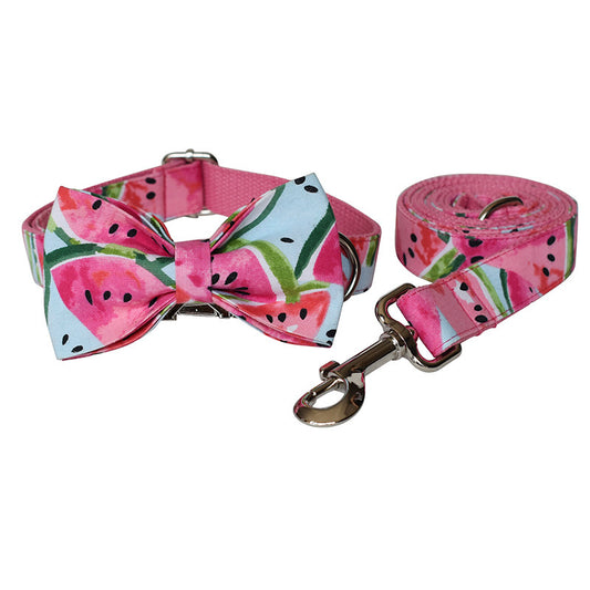 Pet Collars & Harnesses