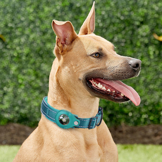 Pet Collars & Harnesses