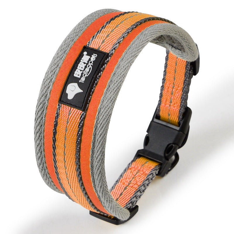 Pet Collars & Harnesses