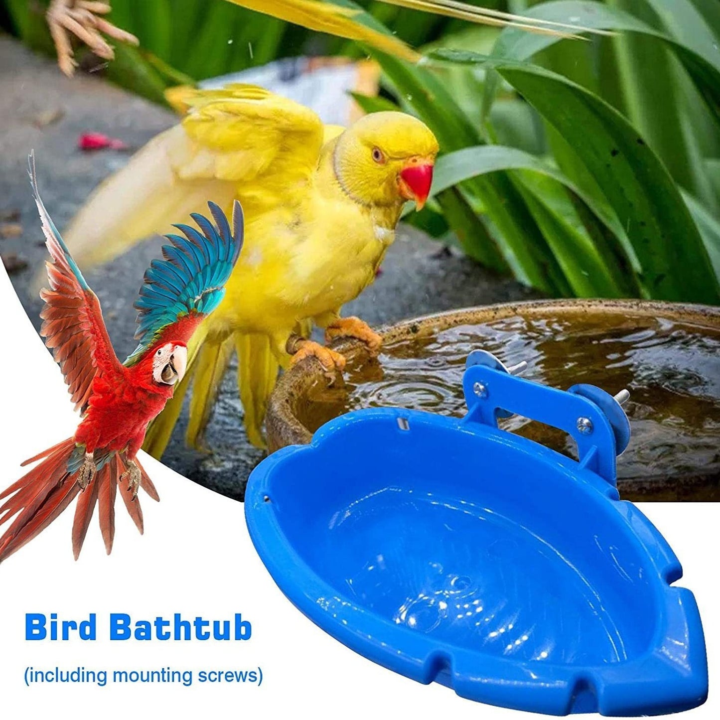 Feeder Bird Bathtub