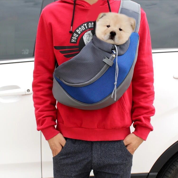 Pet Puppy Carrier