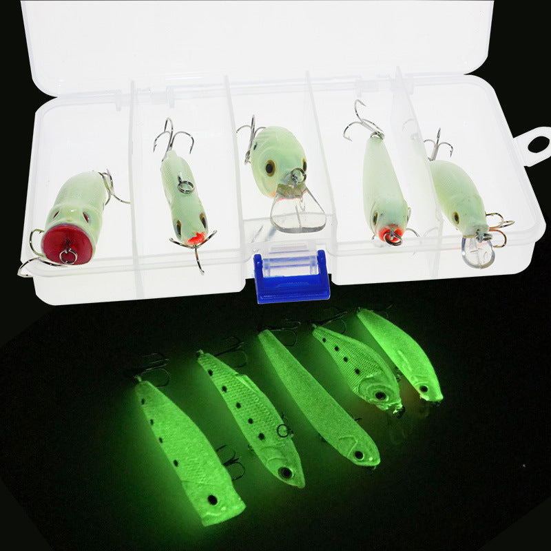 Fishing Baits & Lures