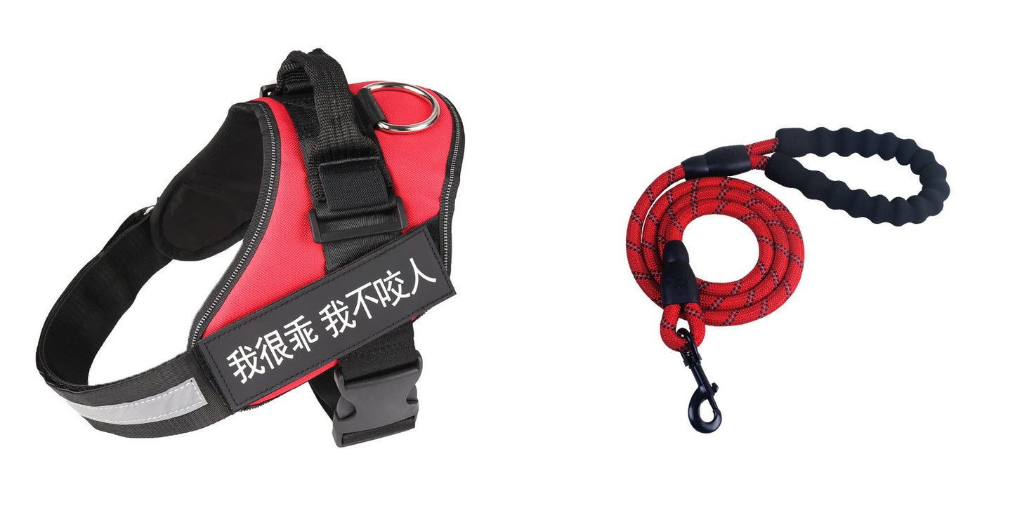 Fashion Simple Pet Leash Chest Strap Set