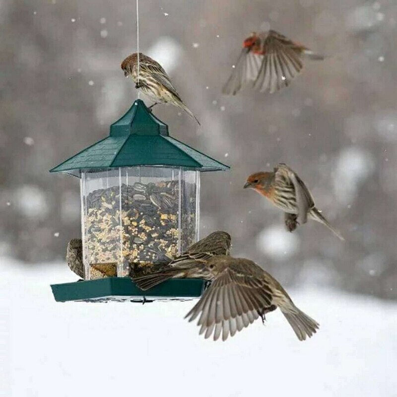 Bird Feeders