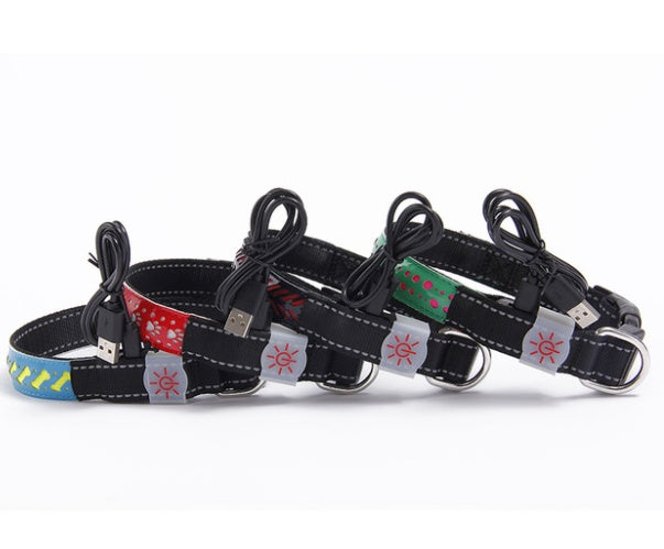 Pet Collars & Harnesses