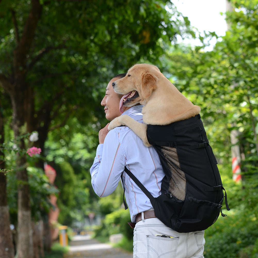 Breathable Pet Backpack