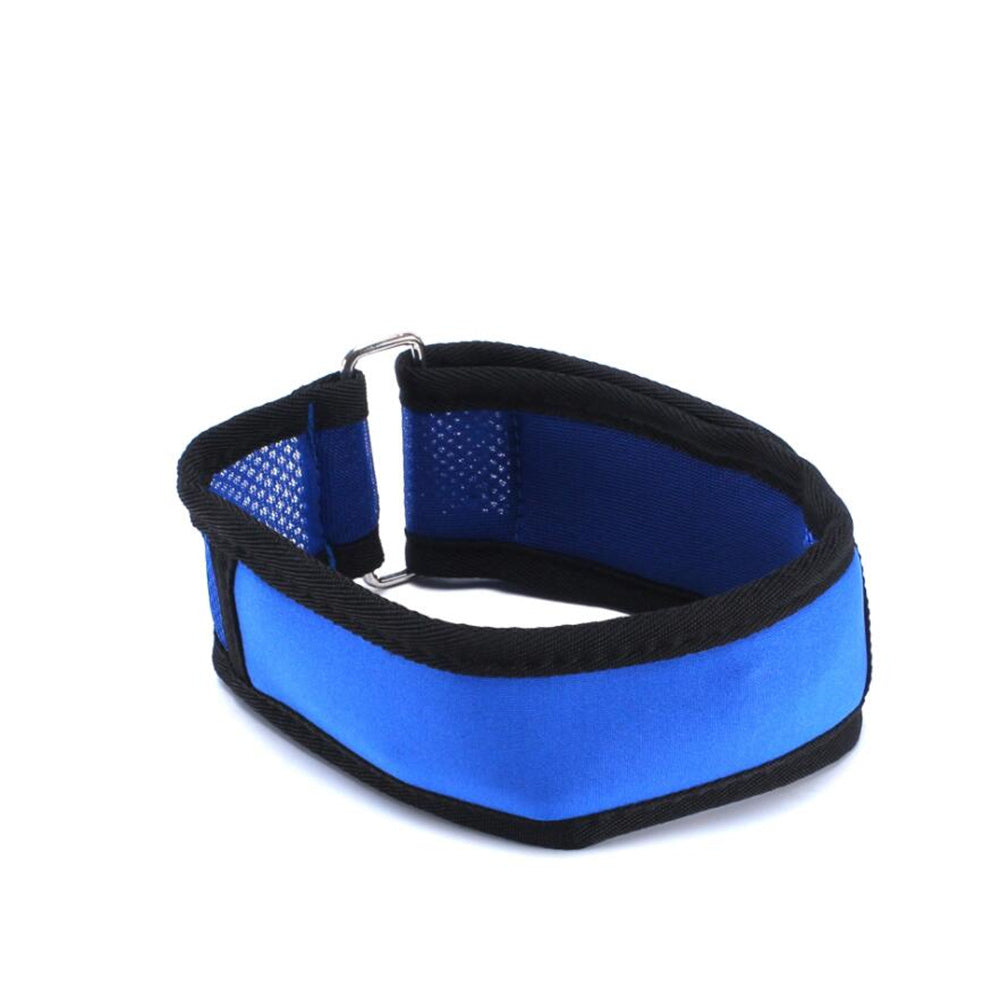 Pet heatstroke cooling collar