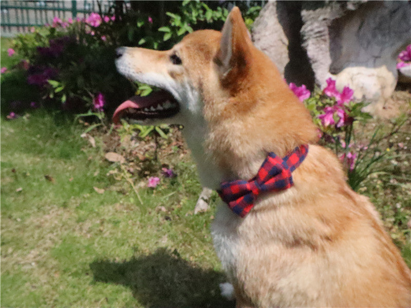 British plaid pet collar