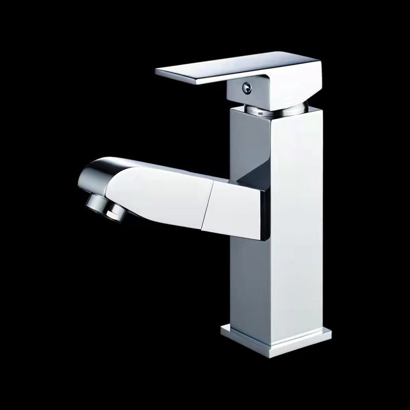 Stainless Steel Bathroom Pull Out Faucet