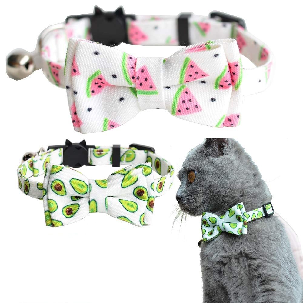 Pet Collars & Harnesses