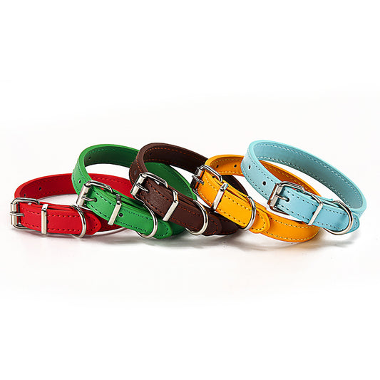 Pet Collars & Harnesses