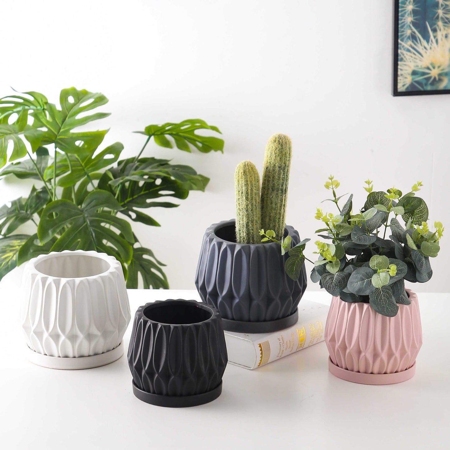 Pots & Planters