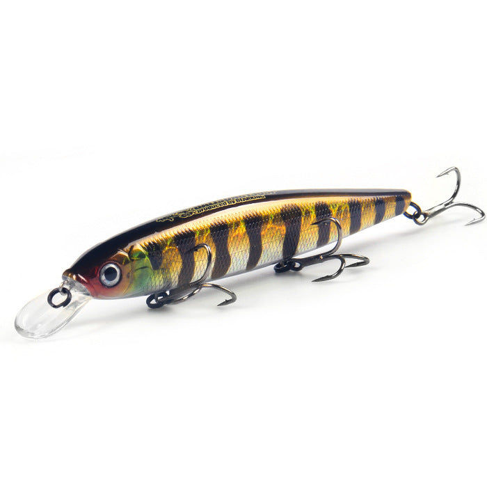 Fishing Baits & Lures