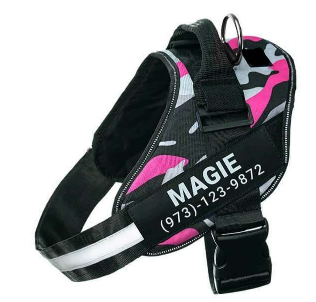 Pet Collars & Harnesses