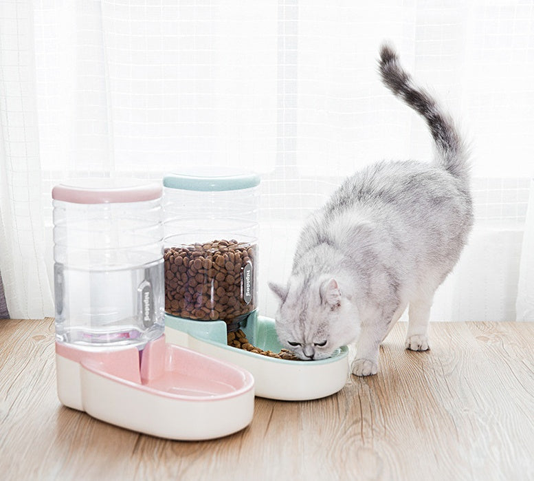 Dog automatic feeder, drinking fountain