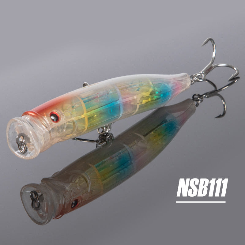 Fishing Baits & Lures