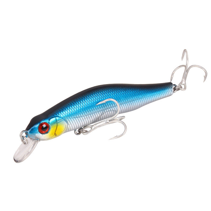 Fishing Baits & Lures 