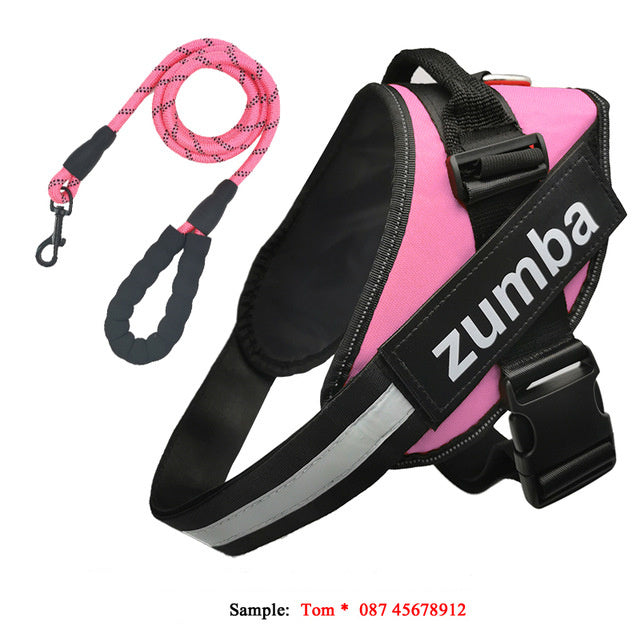 Personalized Dog Harness and Leash Set