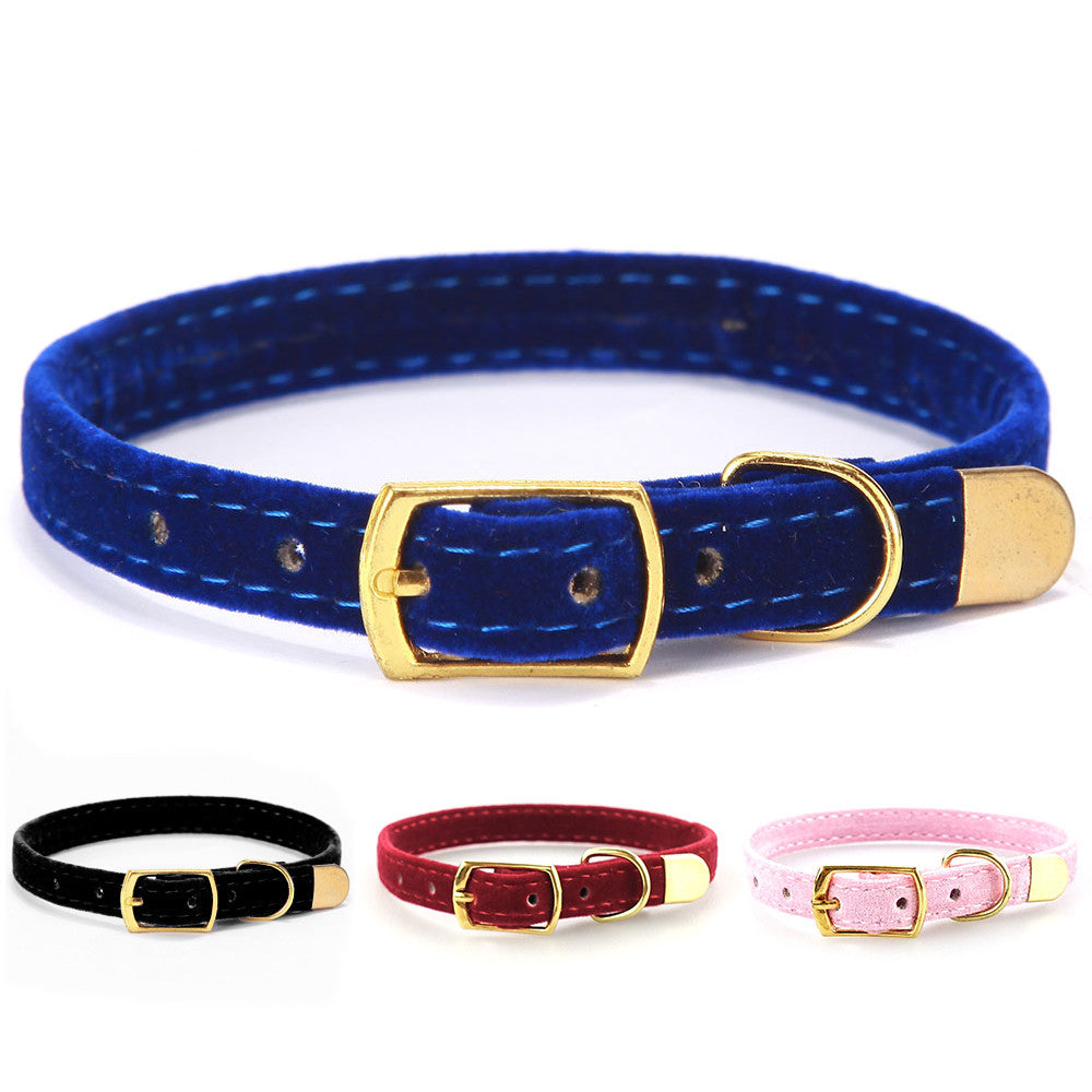 Pet Collars & Harnesses