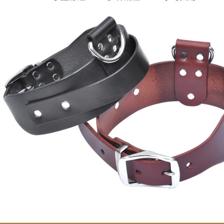 adjustable pet collar