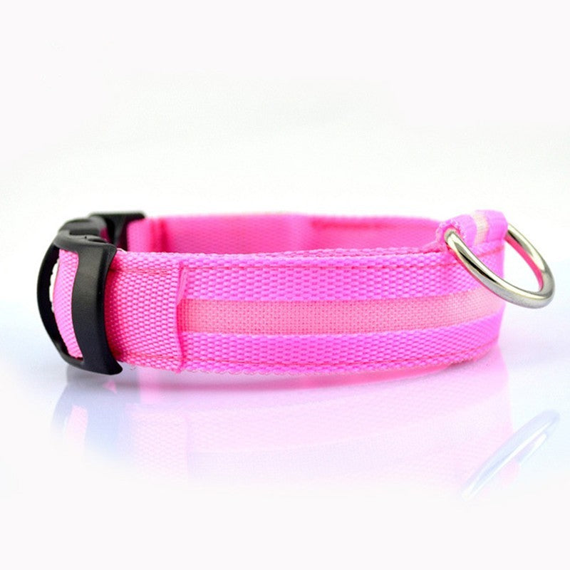 Pet Collars & Harnesses