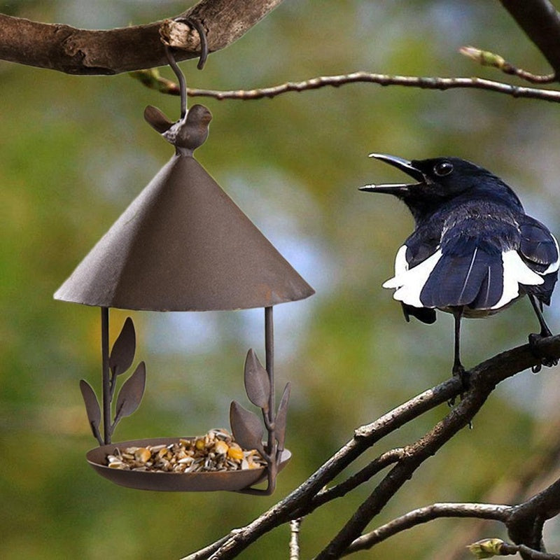 Bird Feeders