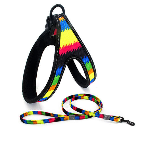 Colorful Dog Leash Dog Walking Rope Small And Medium-sized Dog Explosion-proof Dog Chain