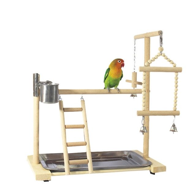 Parrot Standing Stand