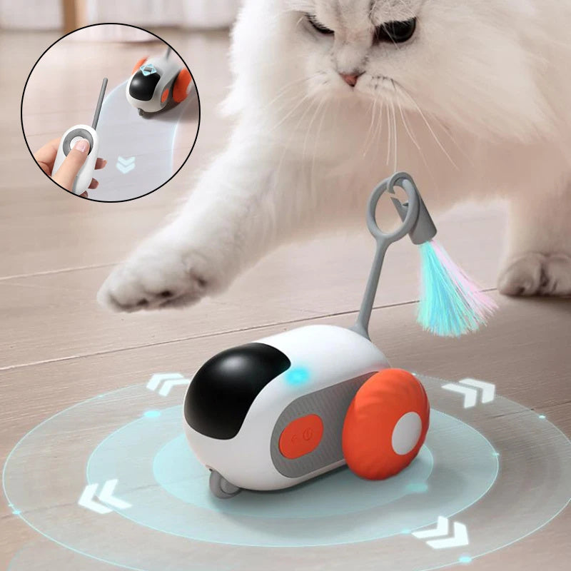 Cat  Toy