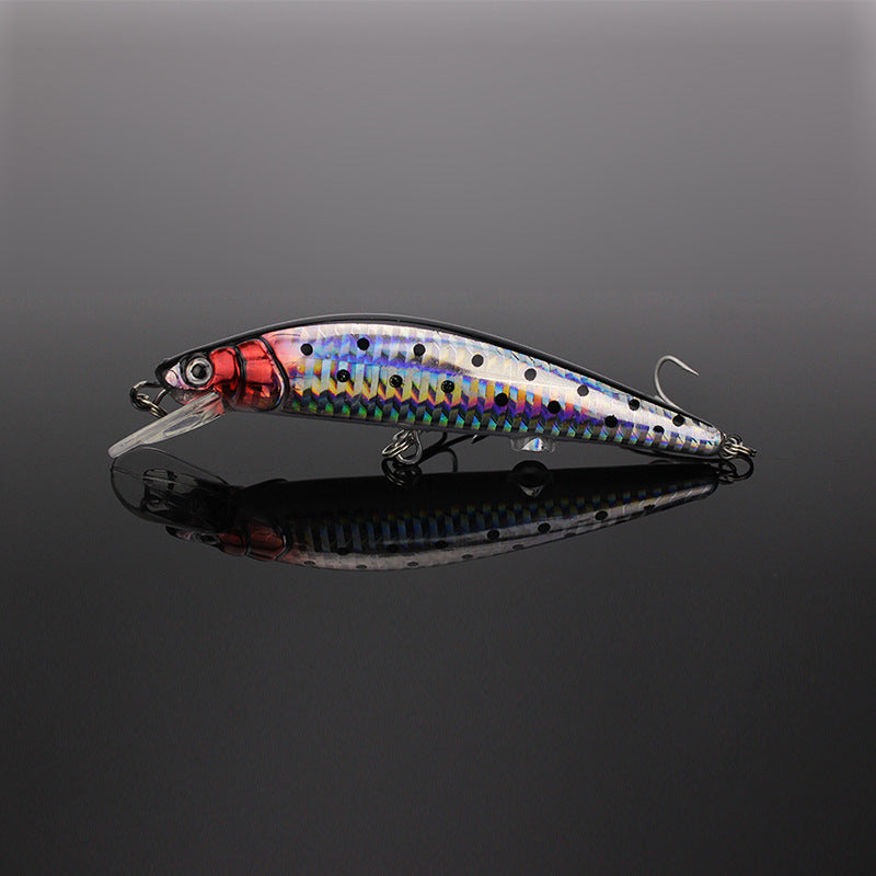 Fishing Baits & Lures