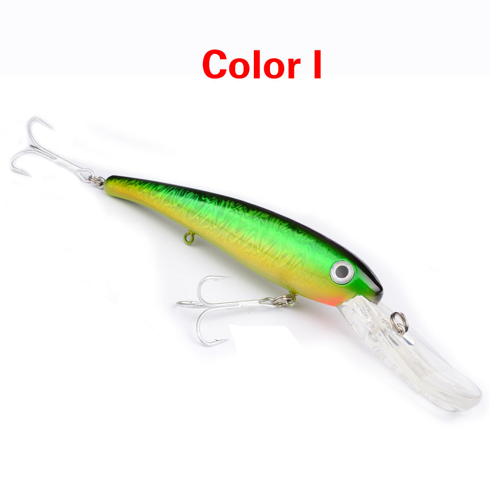 Fishing Baits & Lures