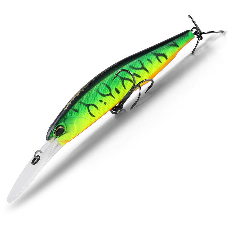 Fishing Baits & Lures