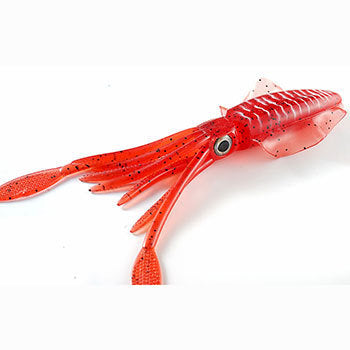 Fishing Baits & Lures