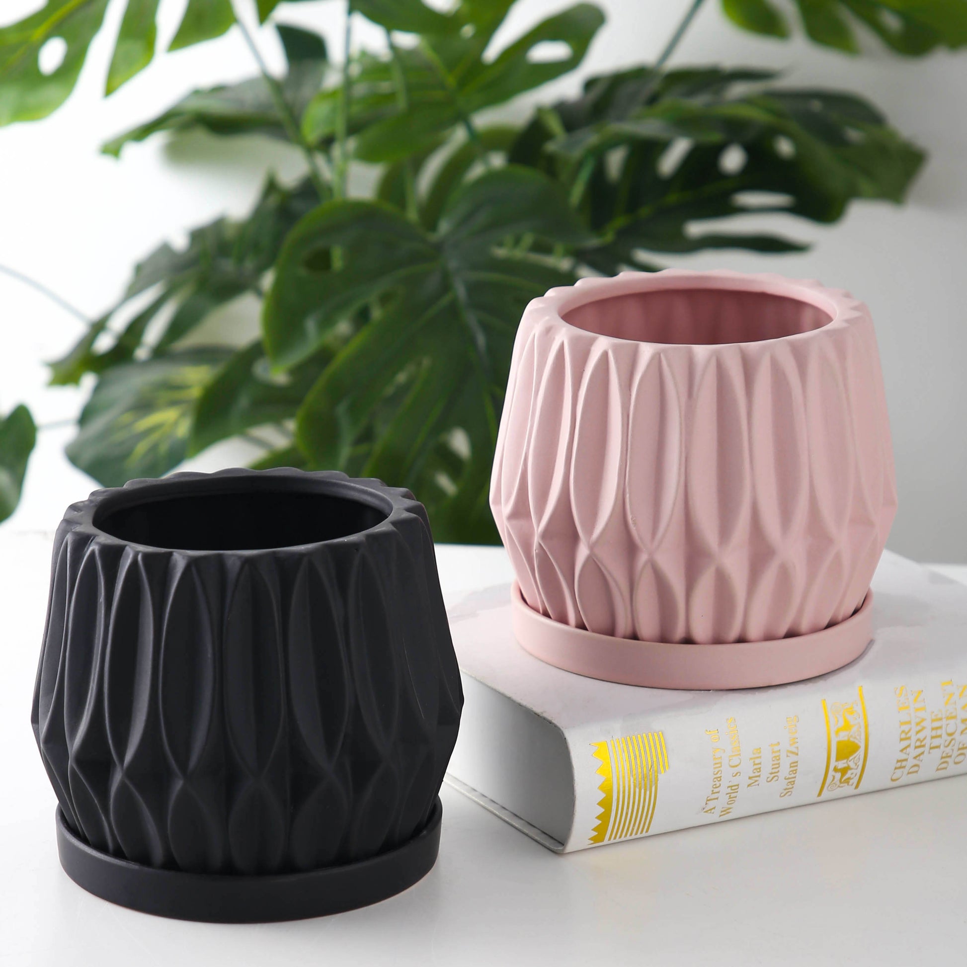 Pots & Planters