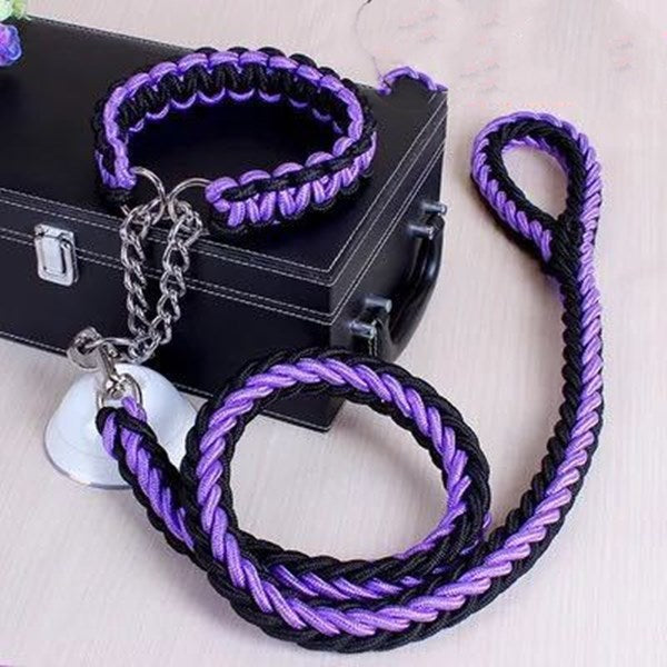 Nylon Pet Leash Medium And Large Dog Collar