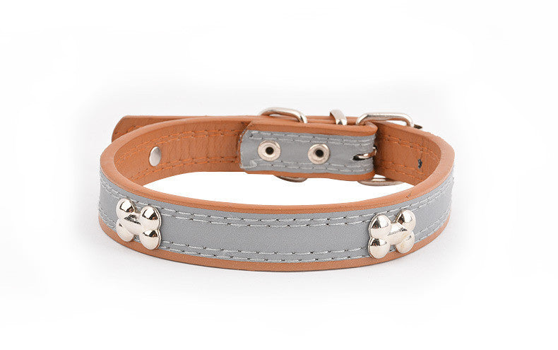 Pet Collars & Harnesses