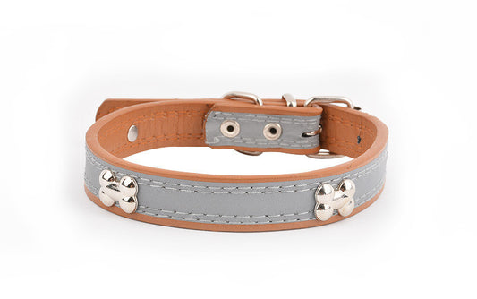 Pet Collars & Harnesses