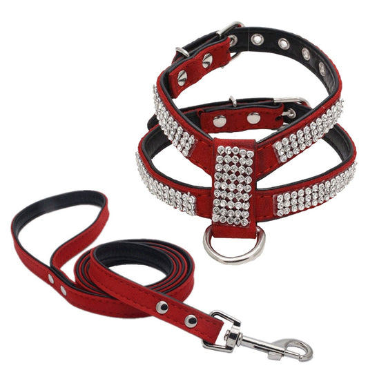 Pet Collars & Harnesses