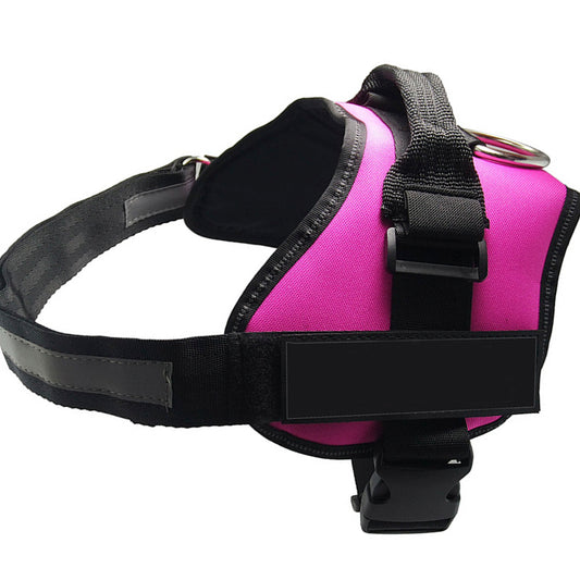 Pet Collars & Harnesses