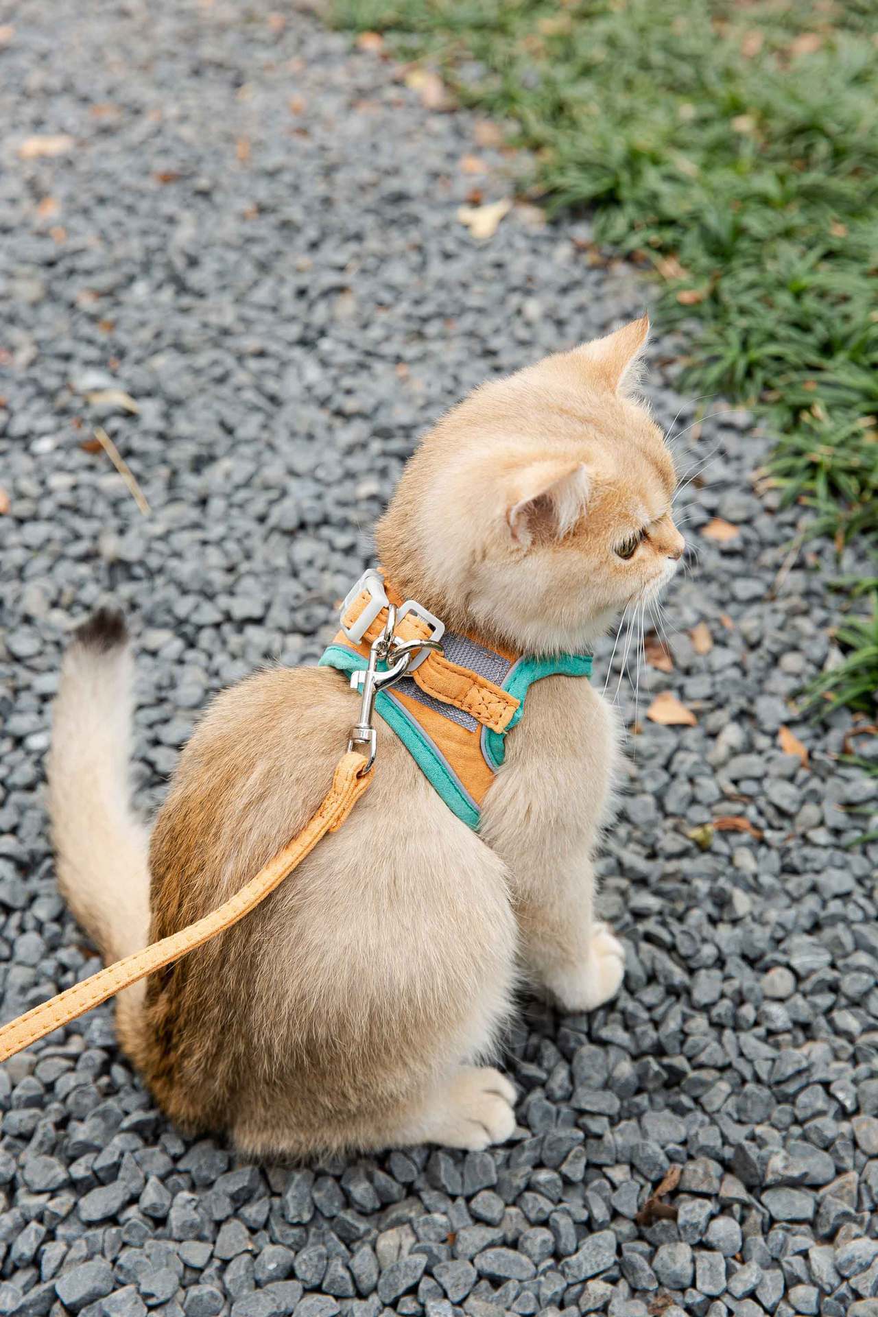 Cat Traction Rope Vest-Style