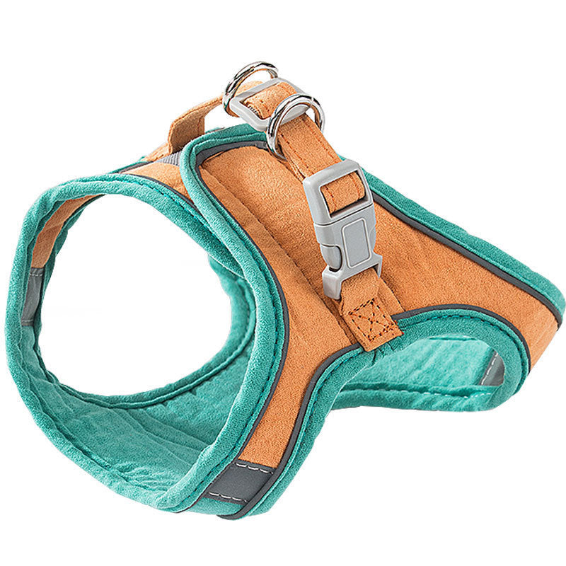 Pet Collars & Harnesses