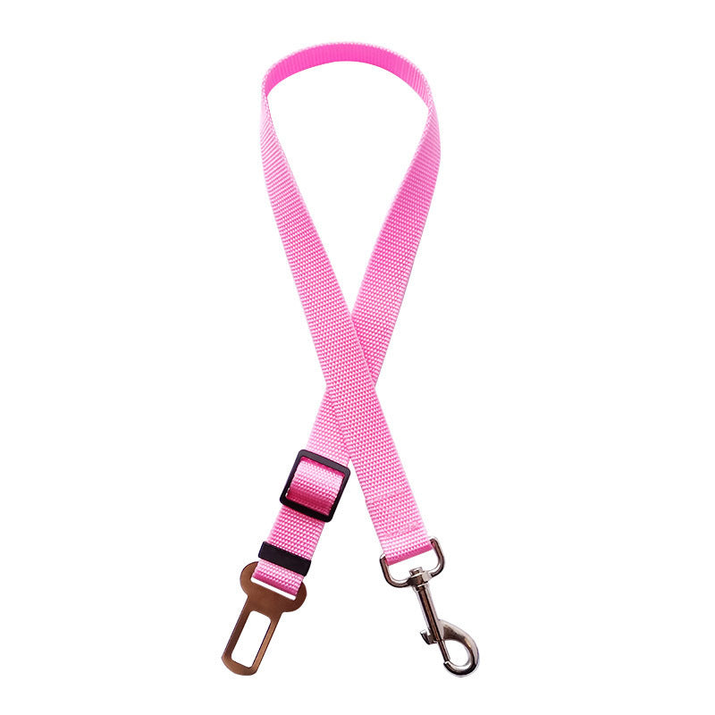 Pet Collars & Harnesses