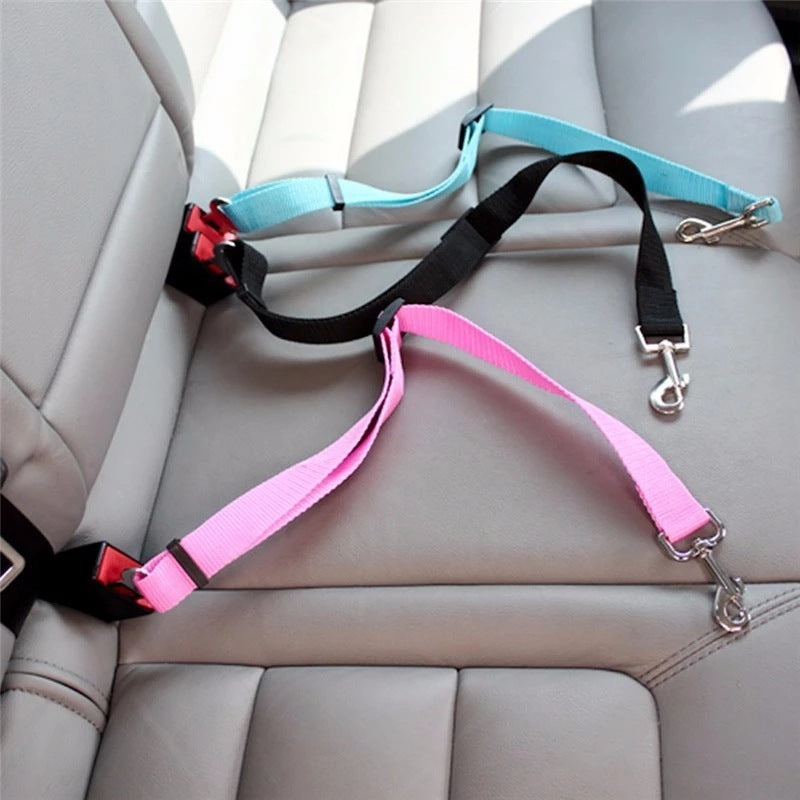 Pet Collars & Harnesses