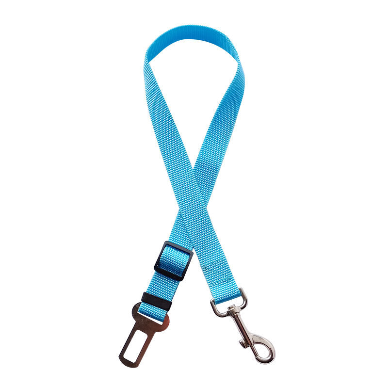 Pet Collars & Harnesses